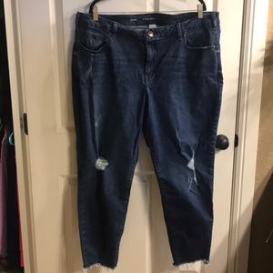 lane Bryant skinny jeans 22 regular dark wash